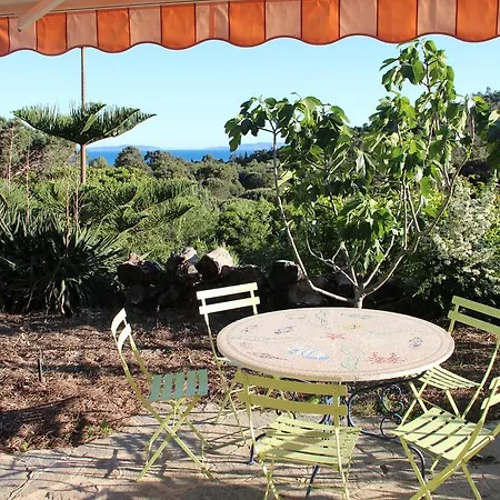 Villa Carpe Diem Le Lavandou Room photo