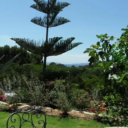 Villa Carpe Diem Le Lavandou Exterior photo